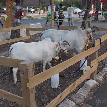 Devotees at community program at ISKCON Cedar Park